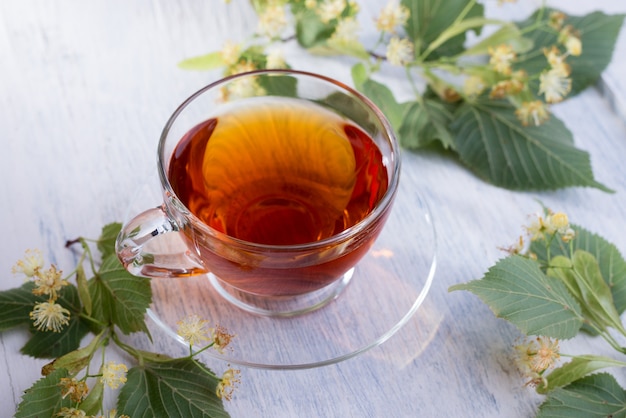 Taza de cristal de té de tilo y flores de tilo sobre una mesa de madera blanca