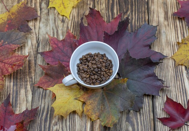 Taza con granos de café en hojas de arce