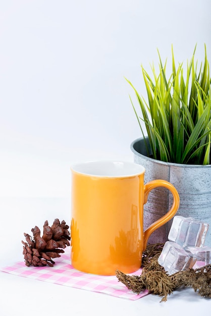 Taza y maceta con planta verde.