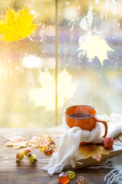 Una taza naranja en una bufanda con calabazas de té caliente hojas de arce secas amarillas un libro en el alféizar de la ventana gotas de lluvia en la ventana estado de ánimo otoñal
