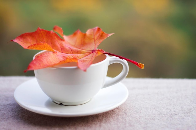 Taza con platillo y hoja de arce naranja sobre la mesa con un colorido fondo desenfocado