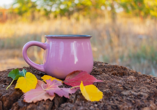 Taza rosa con una bebida y hojas de otoño sobre una vieja mesa de madera en el jardín