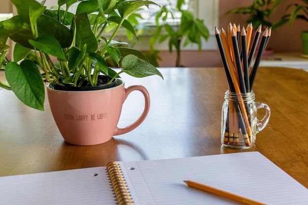 Una taza rosa con una planta que dice "hogar feliz".