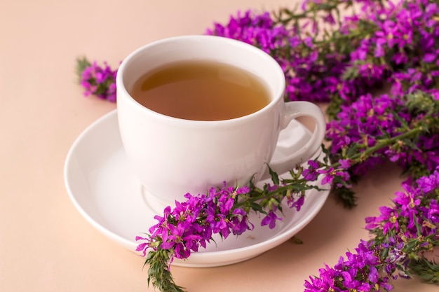 Taza de té blanco con hierbas ivan Té de hierbas elaborado con hojas fermentadas de fireweed