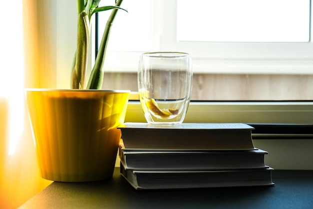 Una taza de té caliente con limón está en el alféizar de la ventana sobre una pila de libros, sale vapor de la taza. Maceta amarilla con planta verde. Rayo de sol