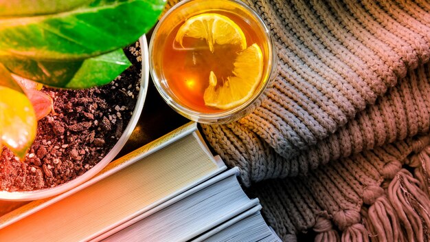 Una taza de té caliente con limón sobre una pila de libros, sale vapor de la taza. Maceta amarilla con planta verde. Rayo de sol