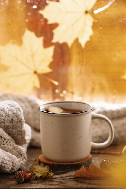 Taza de té caliente con manzana y canela en la ventana de otoño Otoño y otoño acogedora postal vertical