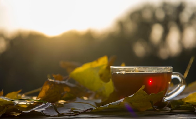 Foto una taza de té cerca de las hojas de otoño.