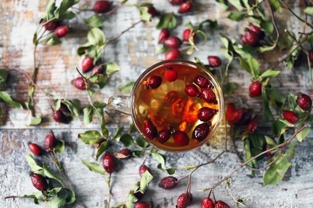 Una taza de té con escaramujo. Ramas y bayas de rosa silvestre. Bebida curativa de otoño. Enfoque selectivo.