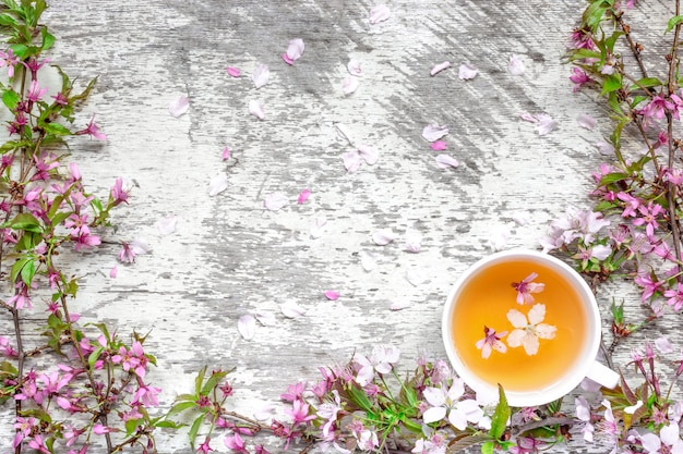 Taza de té y flores de cerezo rosa primavera en blanco rústico mesa de madera con pétalos