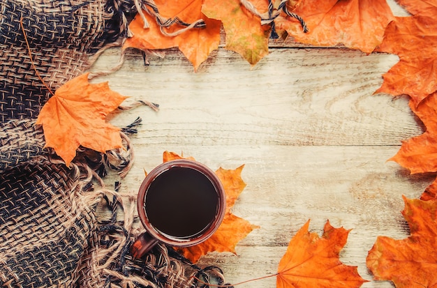 Una taza de té y un fondo acogedor de otoño. Enfoque selectivo