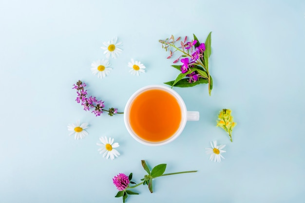 Taza de té de hierbas con flores de manzanilla sobre fondo azul. Té asiático verde floral orgánico. La medicina a base de plantas a las enfermedades estacionales y el tratamiento de los resfriados, la gripe, el calor. Copie el espacio para el texto.