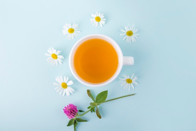 Taza de té de hierbas con flores de manzanilla sobre fondo azul. Té asiático verde floral orgánico. La medicina a base de plantas a las enfermedades estacionales y el tratamiento de los resfriados, la gripe, el calor. Copie el espacio para el texto.