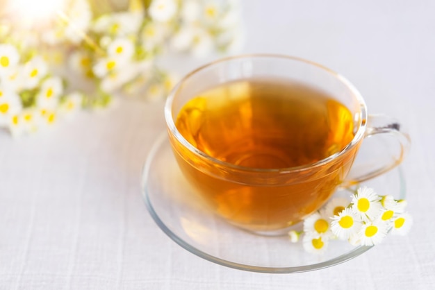 Taza de té de hierbas con flores de manzanilla