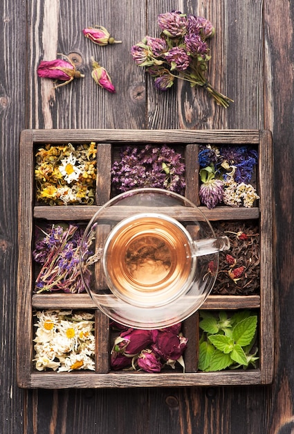 Taza de té de hierbas y hierbas medicinales en una caja de madera Medicina herbaria curación de la salud