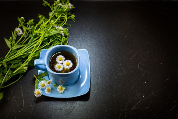 Una taza de té con hierbas sobre fondo negro