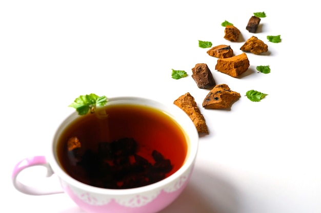 Taza de té de hongo chaga de abedul y trozos de hongo chaga triturados para preparar té aislado
