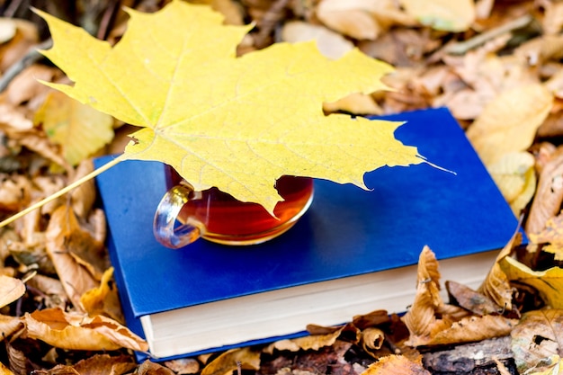 Una taza de té en un libro en el bosque de otoño está cubierta con una hoja de arce amarilla