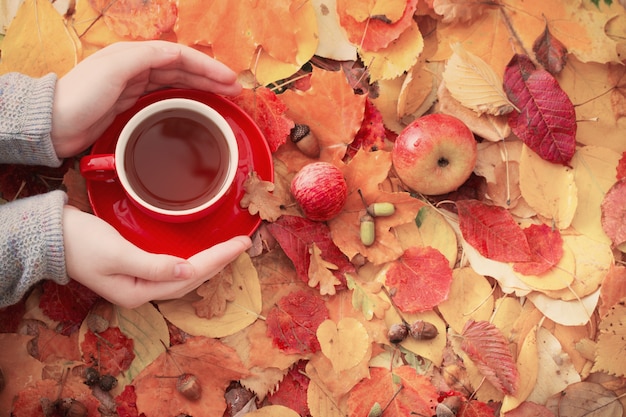 Taza de té en la mano en la superficie de las hojas de otoño