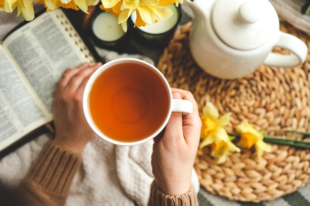 Taza de té en las manos vista superior concepto de buen día