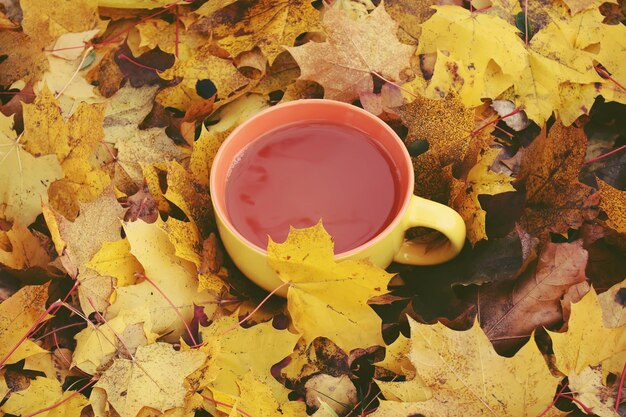 Una taza de té negro sobre fondo de hojas de otoño colorido