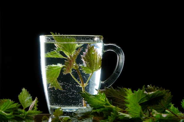 Taza de té de ortiga medicinal con hojas de ortiga