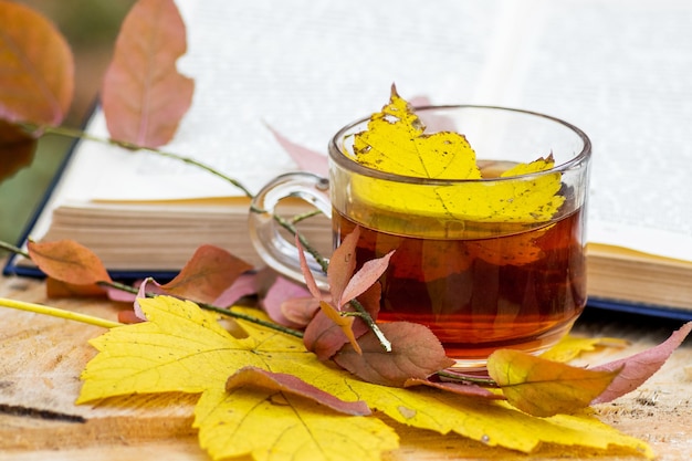 Una taza de té, en la que cayó una hoja de arce amarilla, cerca del libro en el bosque de otoño