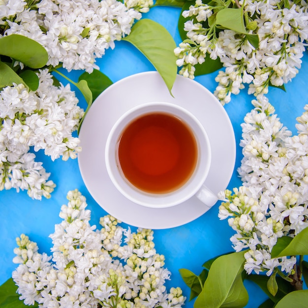 Una taza de té y ramas de persa terry lila blanco sobre un fondo azul vista superior