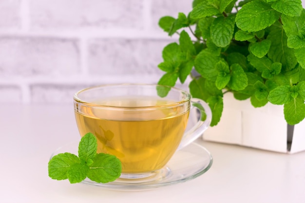 Una taza de té relajante de menta y menta fresca en el fondo Té de menta sobre un fondo blanco