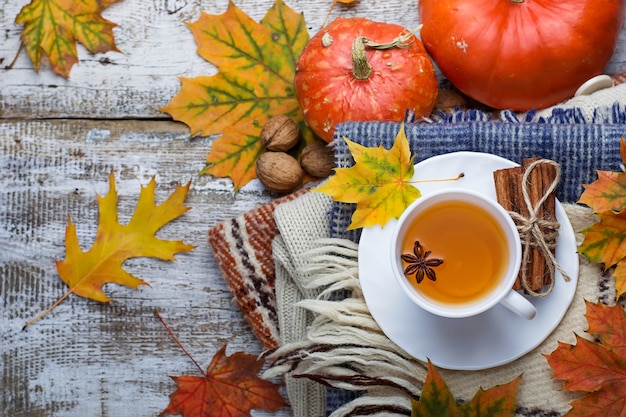 Taza de té y ropa de abrigo.