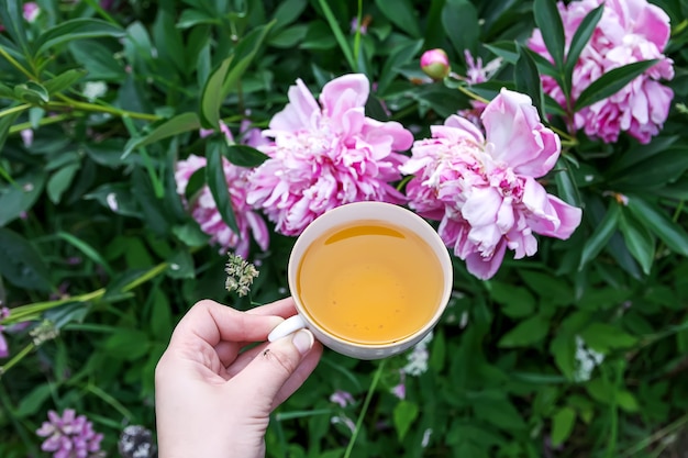 Taza de té verde con flores de jazmín en una mano sobre fondo de plantas florecientes.