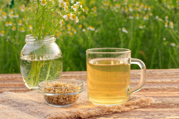 Taza de té verde, tarro con flores de manzanilla blanca y cuenco de cristal con flores secas de matricaria chamomilla sobre tablas de madera con fondo verde natural.