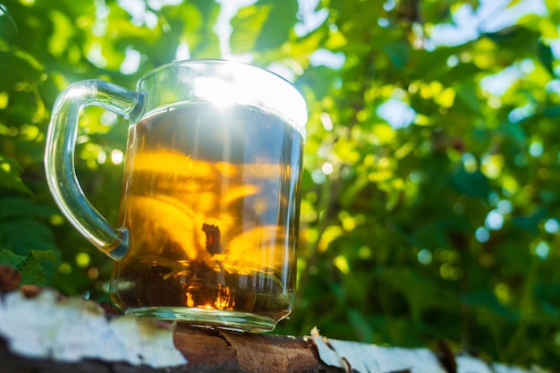 Taza transparente con té negro de bayas calientes frescas y frambuesa Una bebida vigorizante temprano en la mañana en la naturaleza con los rayos del cálido sol