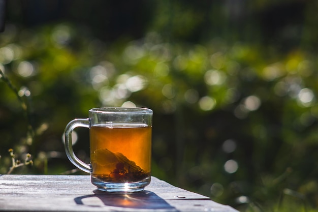 Taza transparente con té negro de bayas calientes frescas y grosellas Una bebida vigorizante temprano en la mañana en la naturaleza con los rayos del cálido sol