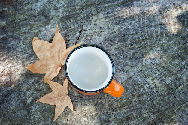 Taza vacía con hojas de otoño. Fondo de otoño. endecha plana