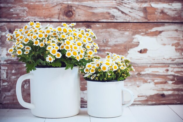 Tazas esmaltadas con flores de manzanilla