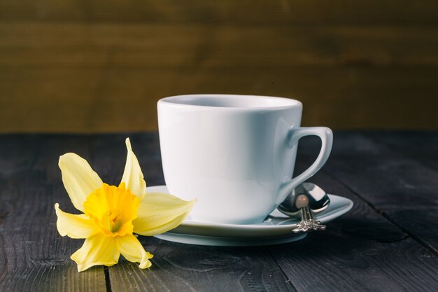 Tazas de té y narcisos