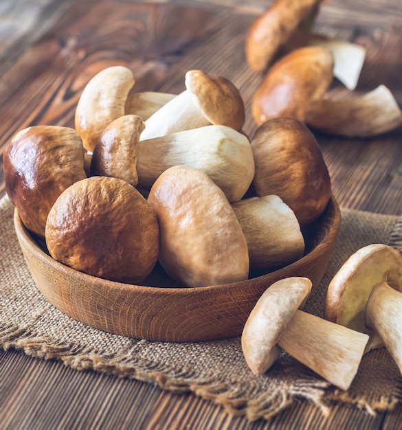 Tazón de hongos porcini