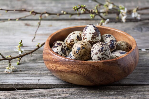 Tazón de huevos de codorniz con rama de flor