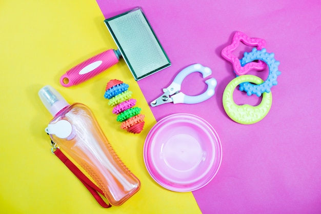 tazón, juguetes, collares, peine, botella de agua y tijeras para uñas