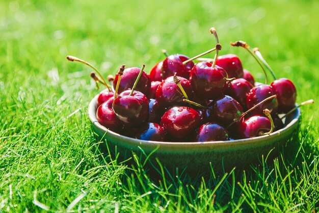 Tazón de primer plano con cereza fresca y sabrosa de pie sobre una hierba