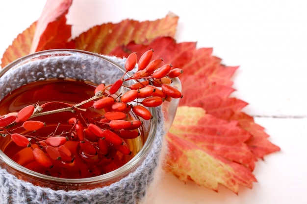 Té de agracejo con una taza de punto aislada