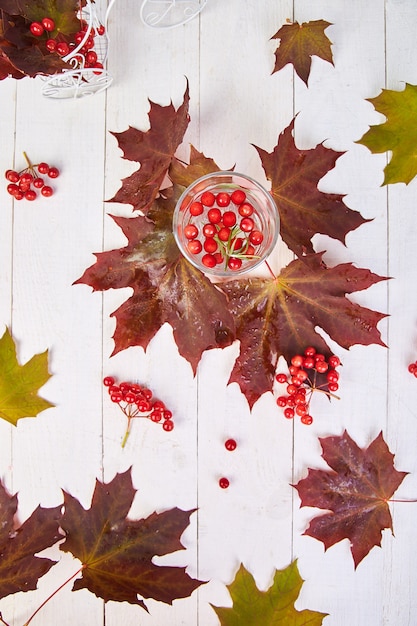 Té caliente cerca de hojas de otoño con viburnum berry, romero