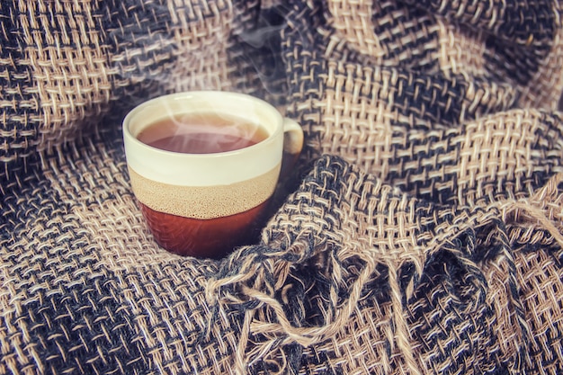 Té caliente en la olla junto a la ventana. enfoque selectivo