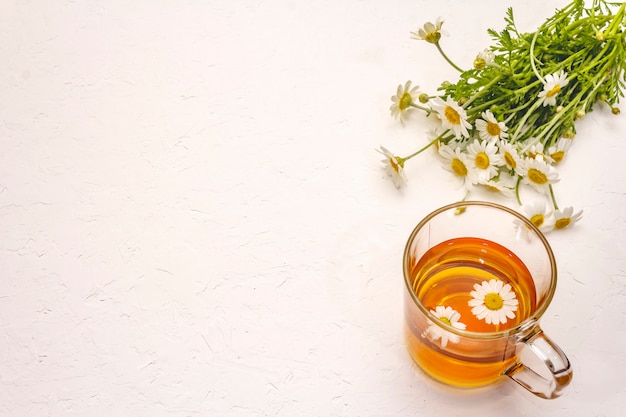 Té de camomila. Flores frescas, concepto de bebida caliente de verano. Medicina alternativa, estilo de vida