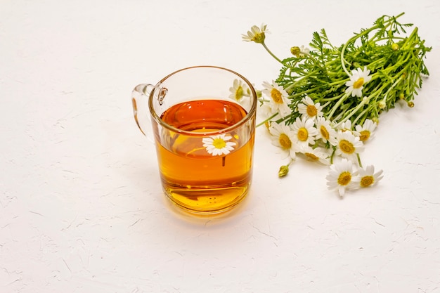 Té de camomila. Flores frescas, concepto de bebida caliente de verano. Medicina alternativa, estilo de vida