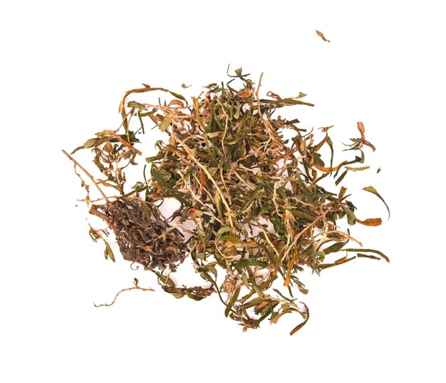 Té de cáñamo Hoja de cángamo aislada sobre un fondo blanco vista de arriba