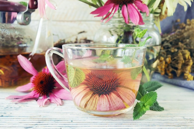 Té curativo de flores frescas de equinácea y menta, en una taza de vidrio y tetera, sobre una mesa de madera