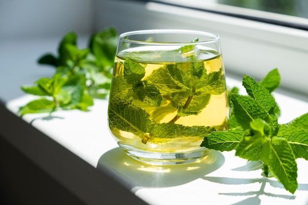 Té helado con menta en vaso con hojas de menta fresca alrededor Bebida refrescante fría casera