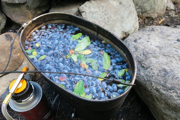 Foto té de hierbas y bayas en el campamento. té de acampada de madreselva en una olla auténtica cocina de verano